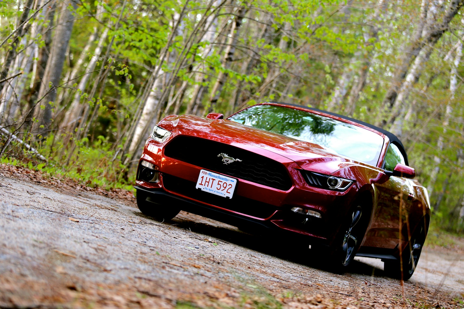 2025 Ford Mustang Convertible Rental — Las Vegas