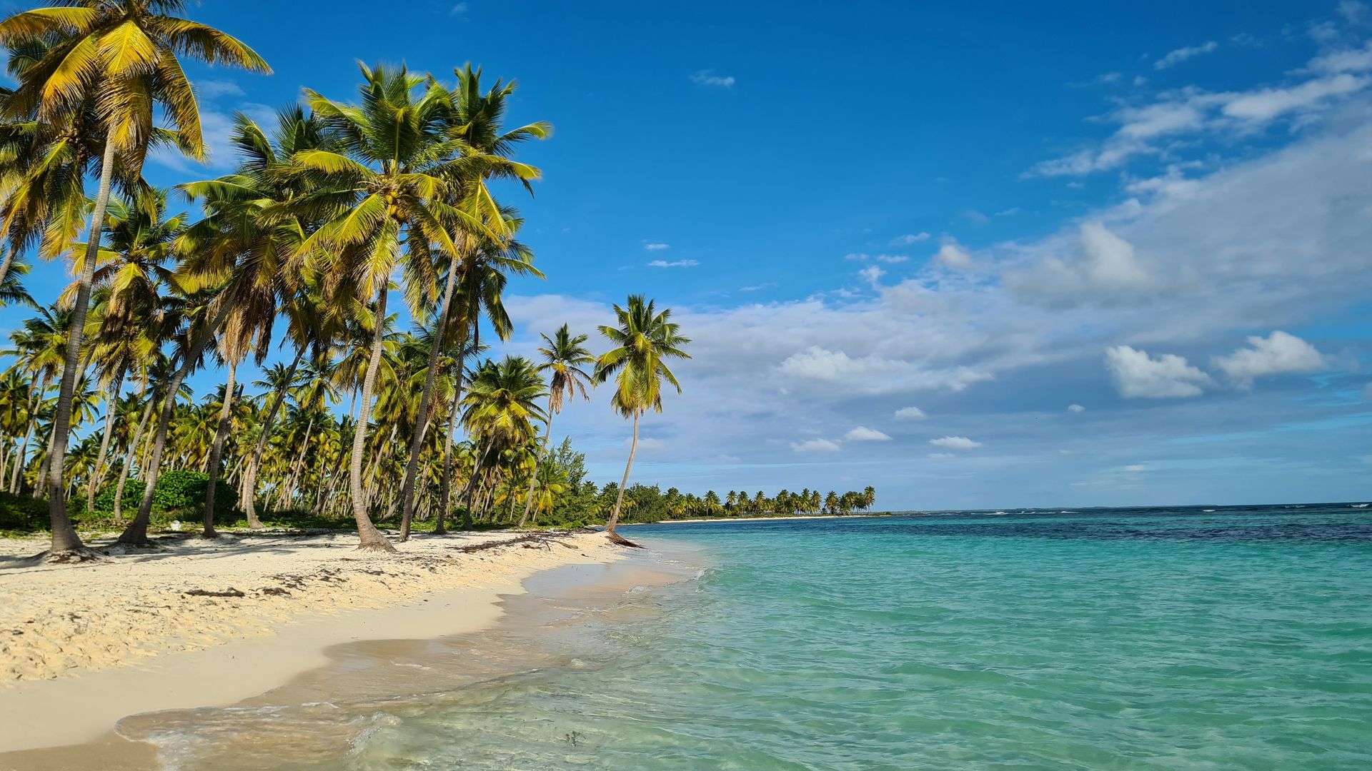 Tour Ensolarado de 8 Dias na República Dominicana — Punta Cana e Saona